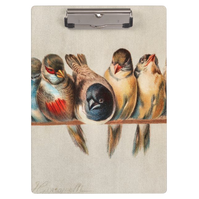 Carpeta De Pinza Línea de aves y palomas (Anverso)