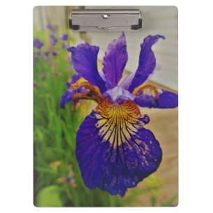 Carpeta De Pinza Lirio de bandera azul Fleur de Lys Canadá Quebec f
