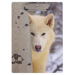 Carpeta De Pinza Lobo blanco