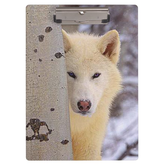 Carpeta De Pinza Lobo blanco (Anverso)