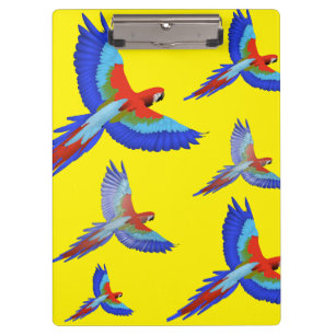 Carpeta De Pinza loro Mikitiez hawaii puesta de sol de verano playa
