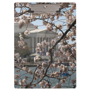 Carpeta De Pinza Los cerezos en flor en Washington DC