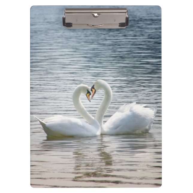 Carpeta De Pinza Los cisnes amorosos forman un corazón (Anverso)