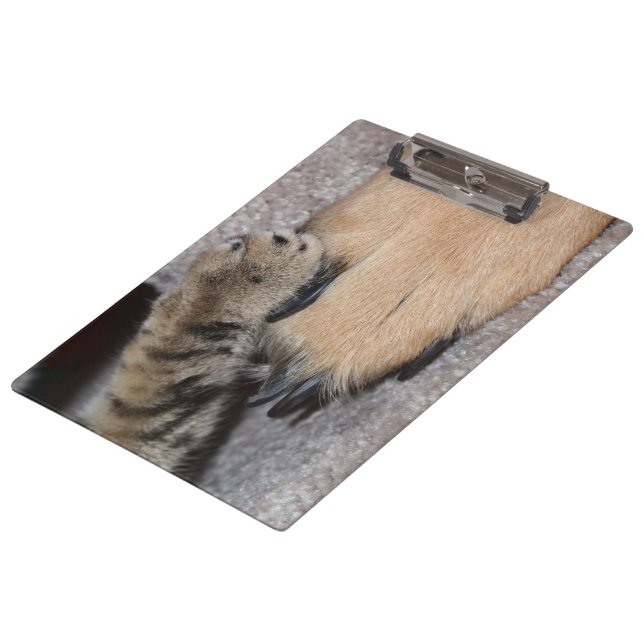 Carpeta De Pinza Los mejores amigos para siempre por Shirley Taylor (Angular)