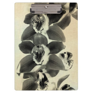 Carpeta De Pinza Los paneles de Rubor de la orquídea IV