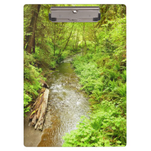 Carpeta De Pinza Lost Man Creek II en el Parque Nacional Redwood