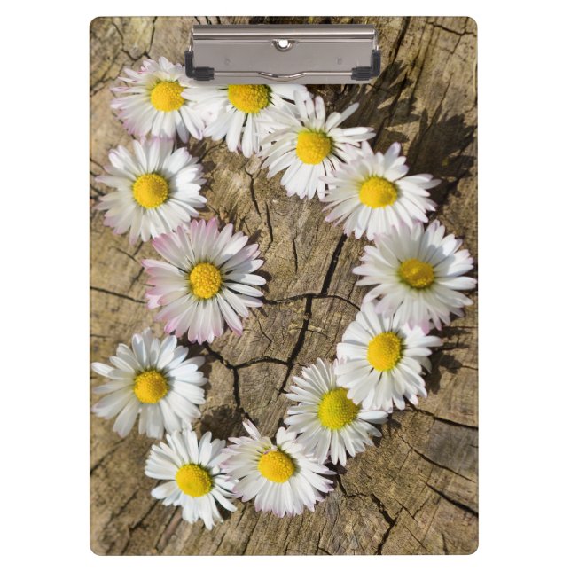 Carpeta De Pinza Love Heart Daisies (Anverso)