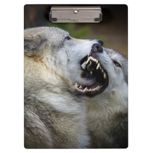 Carpeta De Pinza Lucha del lobo