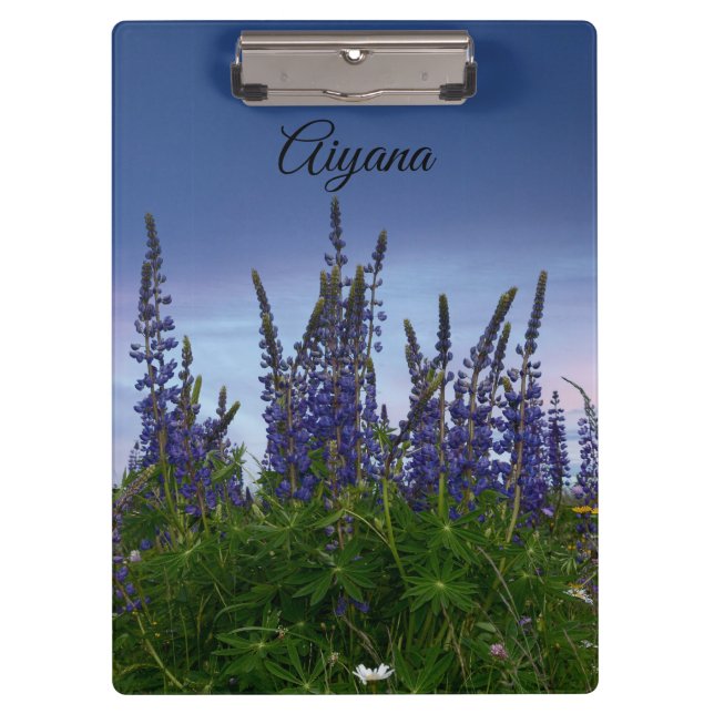 Carpeta De Pinza Lupinos     (Anverso)