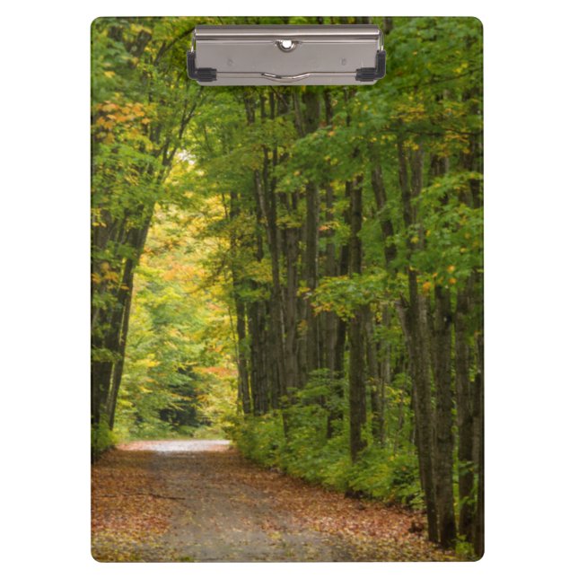 Carpeta De Pinza Luz al final de un túnel de árboles (Anverso)