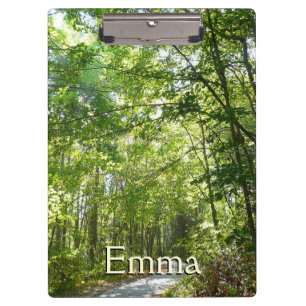 Carpeta De Pinza Luz del sol en ruta de madera en el parque Centenn