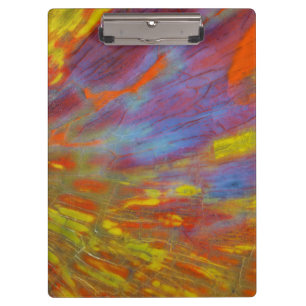 Carpeta De Pinza Madera Petrificada Colorida en primer plano