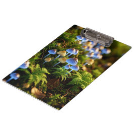 Carpeta De Pinza Magical Bioluminescent Fungi - Deep Forest