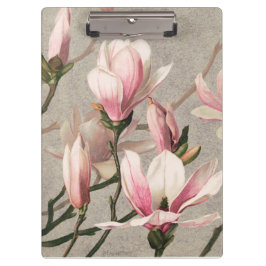 Carpeta De Pinza Magnolia - L. Prang & Co 