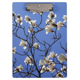 Carpeta De Pinza Magnolias florecientes