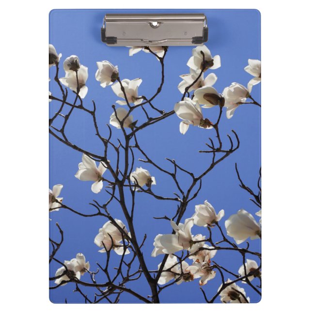 Carpeta De Pinza Magnolias florecientes (Anverso)