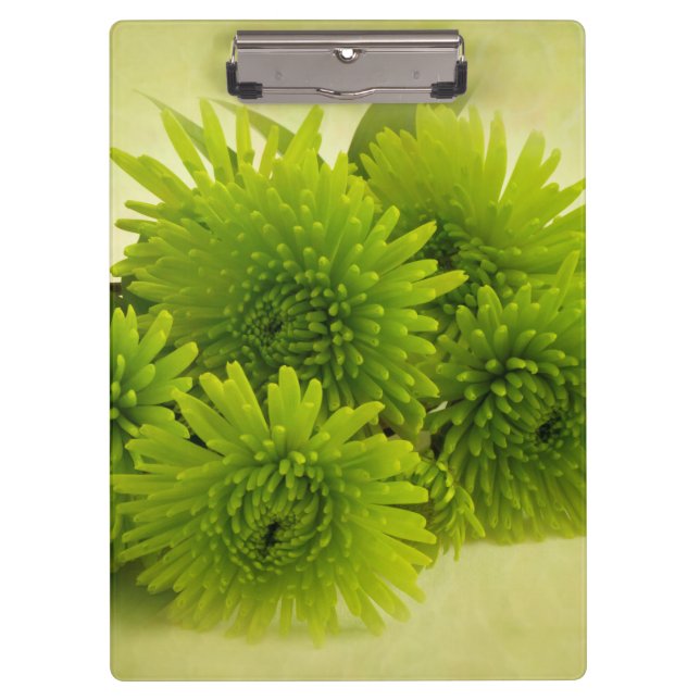Carpeta De Pinza Mamáes verdes (Anverso)