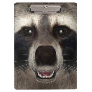 Carpeta De Pinza Mapache