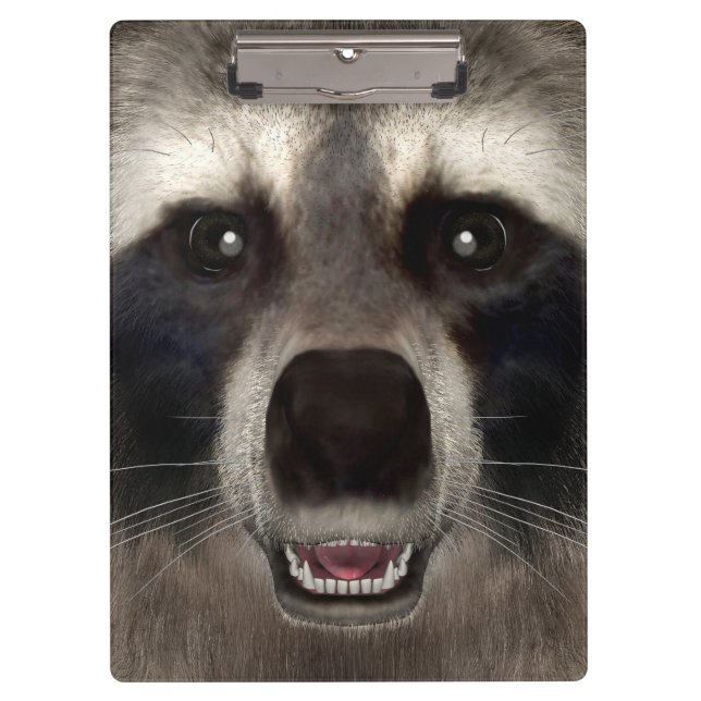 Carpeta De Pinza Mapache (Anverso)