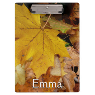 Carpeta De Pinza Maple caído deja naturaleza otoño amarilla