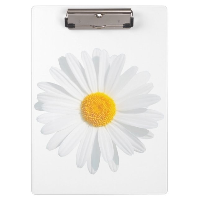 Carpeta De Pinza margarita blanca (Anverso)
