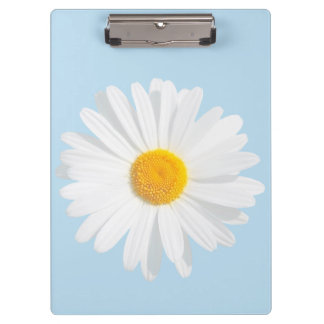 Carpeta De Pinza margarita blanca
