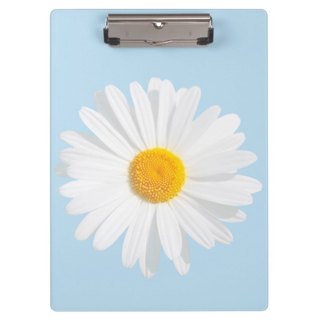 Carpeta De Pinza margarita blanca (Anverso)