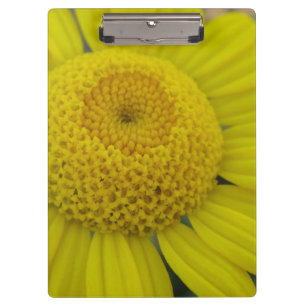 Carpeta De Pinza marguerita amarillo bonito
