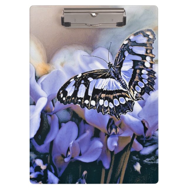 Carpeta De Pinza Mariposa azul (Anverso)