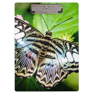 Carpeta De Pinza Mariposa de Blue Clipper