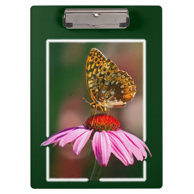 Carpeta De Pinza Mariposa En La Conflor Púrpura (Anverso)