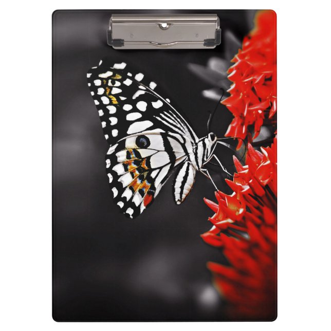 Carpeta De Pinza Mariposa en las flores rojas (Anverso)