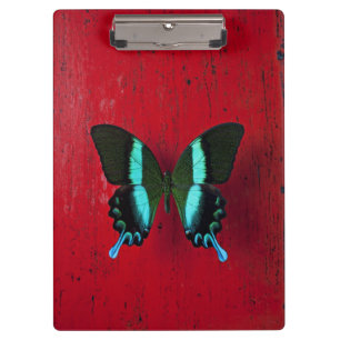 Carpeta De Pinza Mariposa negra y azul