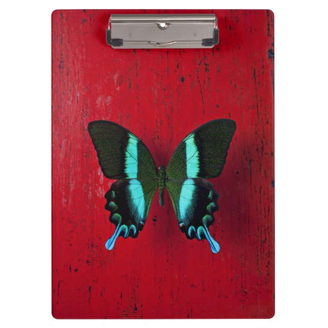 Carpeta De Pinza Mariposa negra y azul (Anverso)