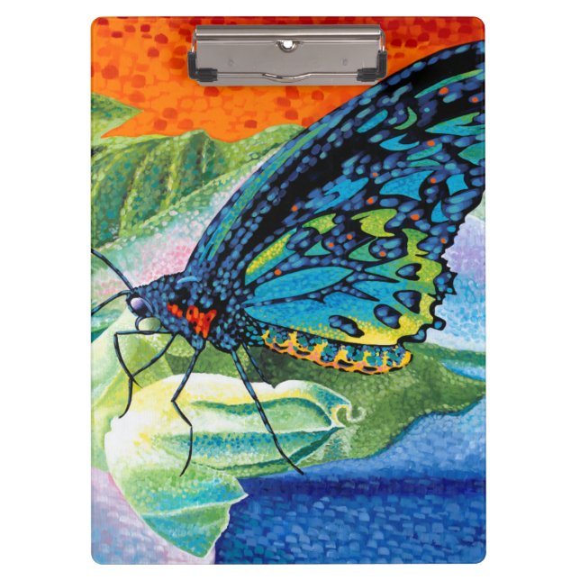 Carpeta De Pinza Mariposa postiza II (Anverso)