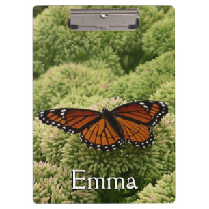 Carpeta De Pinza Mariposa Viceroy Hermosa Fotografía de la Naturale