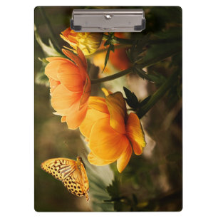 Carpeta De Pinza Mariposa y flores naranjas