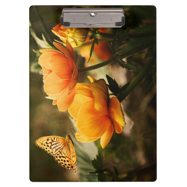 Carpeta De Pinza Mariposa y flores naranjas (Anverso)