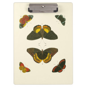 Carpeta De Pinza Mariposas brillantes de Pieter Cramer