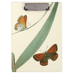 Carpeta De Pinza Mariposas coloridas que agitan alrededor de una