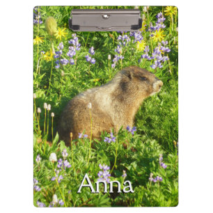Carpeta De Pinza Marmota en flores silvestres del Monte Rainier