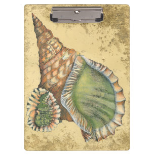 Carpeta De Pinza Marrón y verde