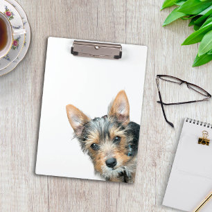 Carpeta De Pinza Mascota Personalizada Personalizada