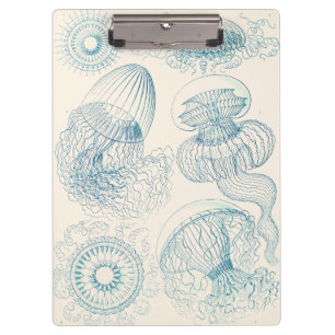 Carpeta De Pinza Medusa de Ernst Haeckel Arte Científico Antiguo