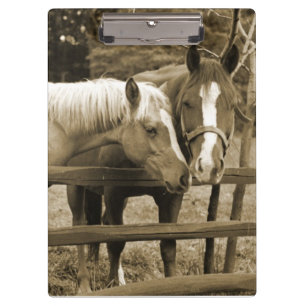 Carpeta De Pinza Mejores amigos