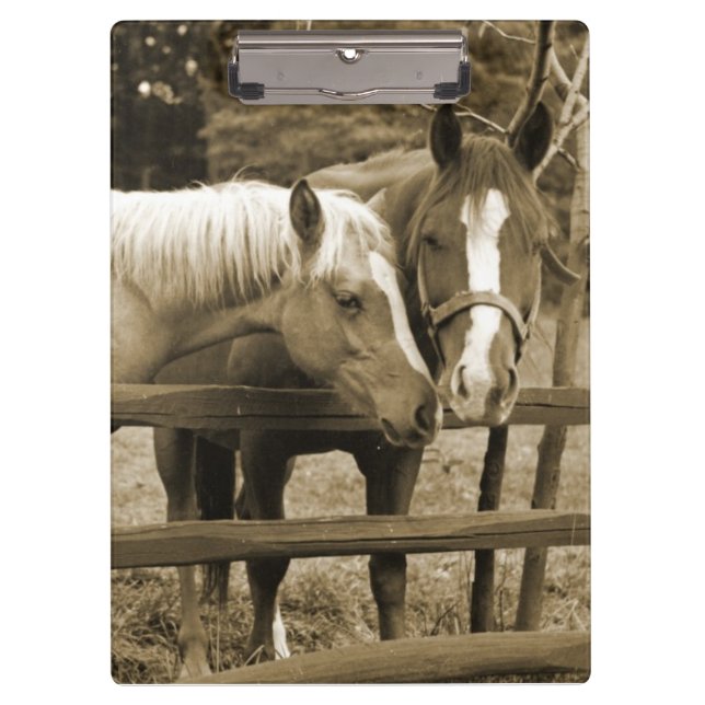 Carpeta De Pinza Mejores amigos (Anverso)