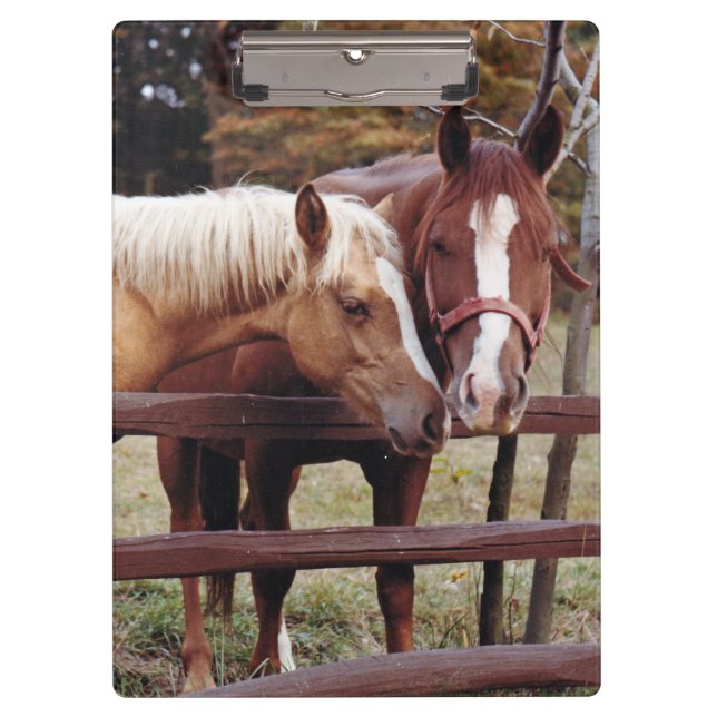 Carpeta De Pinza Mejores amigos (Anverso)