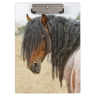 Carpeta De Pinza Melena del caballo
