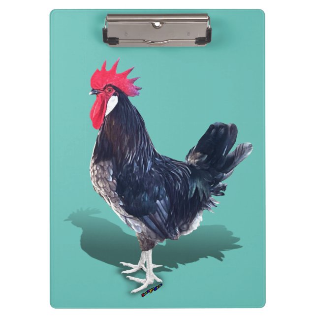 Carpeta De Pinza Menorca Rooster (Anverso)