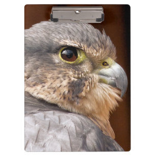 CARPETA DE PINZA MERLIN FALCON BIRD DE PRESA
